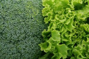 Broccoli Head and Lettuce
