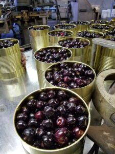 Cherries in can undergoing the canning process