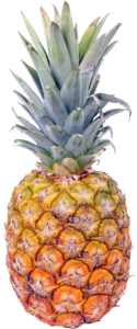 A Pineapple