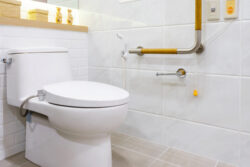 Toilet with wall mounted handlebar