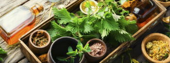 Healing herbs in herbal medicine - Natural Home Remedies