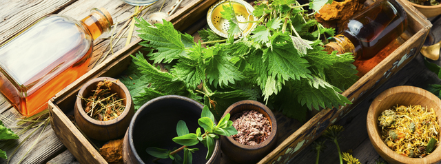 Healing herbs in herbal medicine - What are Natural Remedies