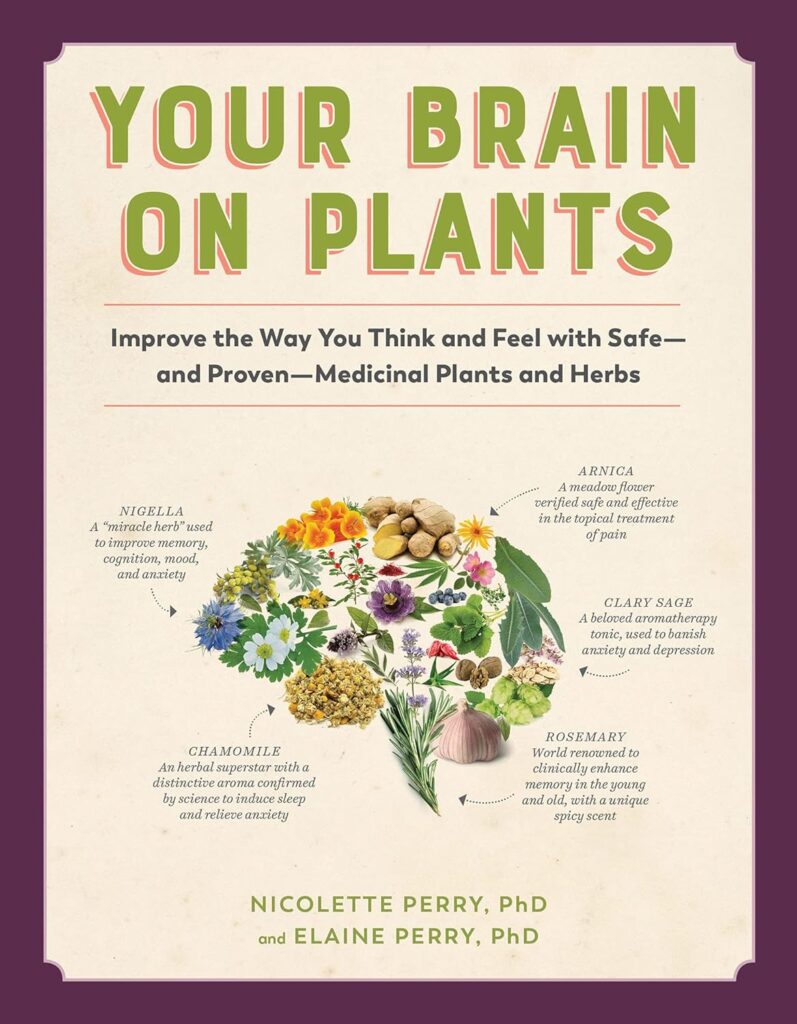 Ways to Improve Memory Loss - Boost Memory with 10 Herbs 5 Your Brain on Plants - Ways to Improve Memory Loss