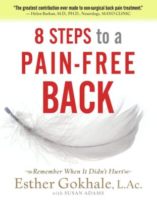 13 Reasons for Chronic Back Pain - So Much Pain 3 Book-8-Steps-to-a-Pain-Free-Back - 13 Reasons for Chronic Back Pain