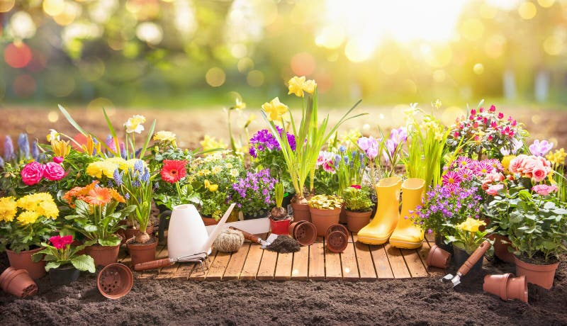 Garden deck with beautiful potted flowering plants and some gardening tools - 8 Best Ergonomic Gardening Tools for Seniors