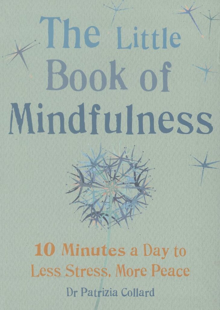 Book-Little-Book-of-Mindfulness - 9 Alarming Risks of Extreme Stress Weight Loss in Seniors