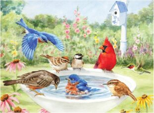 Relish 35 piece Bathing Birds - Dementia Alzheimers Puzzle - The Chains of Seniors and Loneliness